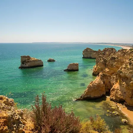 Vilalvor -c Lägenhet